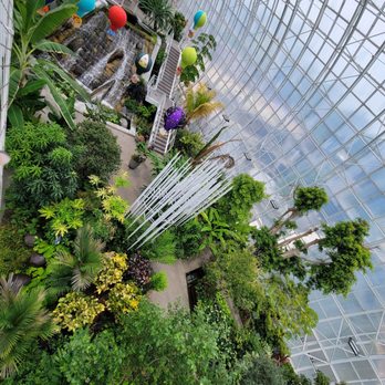 Crystal Bridge - The gardens - Botanical Gardens Near Me - Oklahoma City, Oklahoma