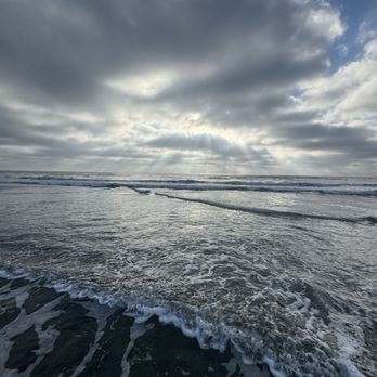 Torrey Pines State Reserve - Parks Near Me - La Jolla, California