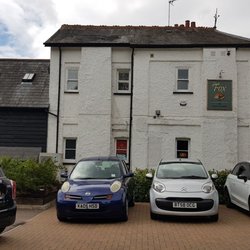 The Fox