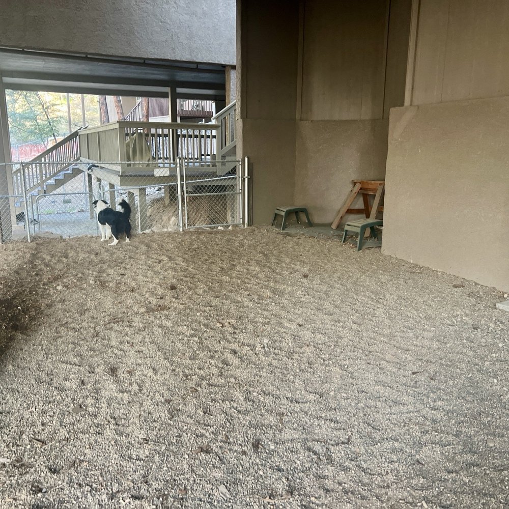 Martinez Landscaping - Prior to Hugo's work - Landscaping Near Me