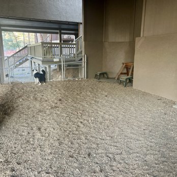 Martinez Landscaping - Prior to Hugo's work - Landscaping Near Me
