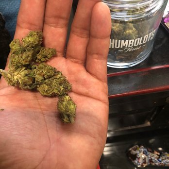 Harborside - Herba - Cannabis Dispensaries Near Me - Oakland, California Harborside - Herba - Cannabis Dispensaries Near Me - Oakland, California