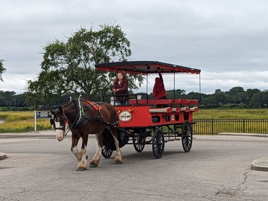 Sea Island Carriage Company by null