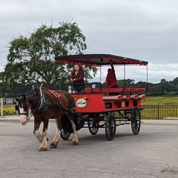 Sea Island Carriage Company