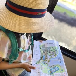 Hilton Waikoloa Village - The property is so big it's like going to Disneyland!! You definitely need a map to get around.