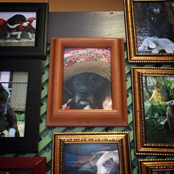 Chuy's - Loved the pictures around the bar. All the dogs - Tex-Mex Near Me - Sterling, Virginia