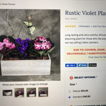 Kremp Florist - What I ordered and expected to be delivered. - Florists Near Me - Willow Grove, Pennsylvania