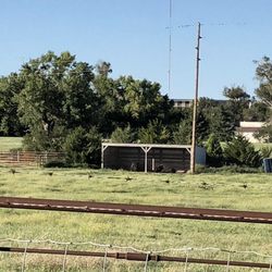 Frontier Park Disc Golf Course - Bison