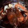Cottrell’s Seafood Market snd Take Out gift card