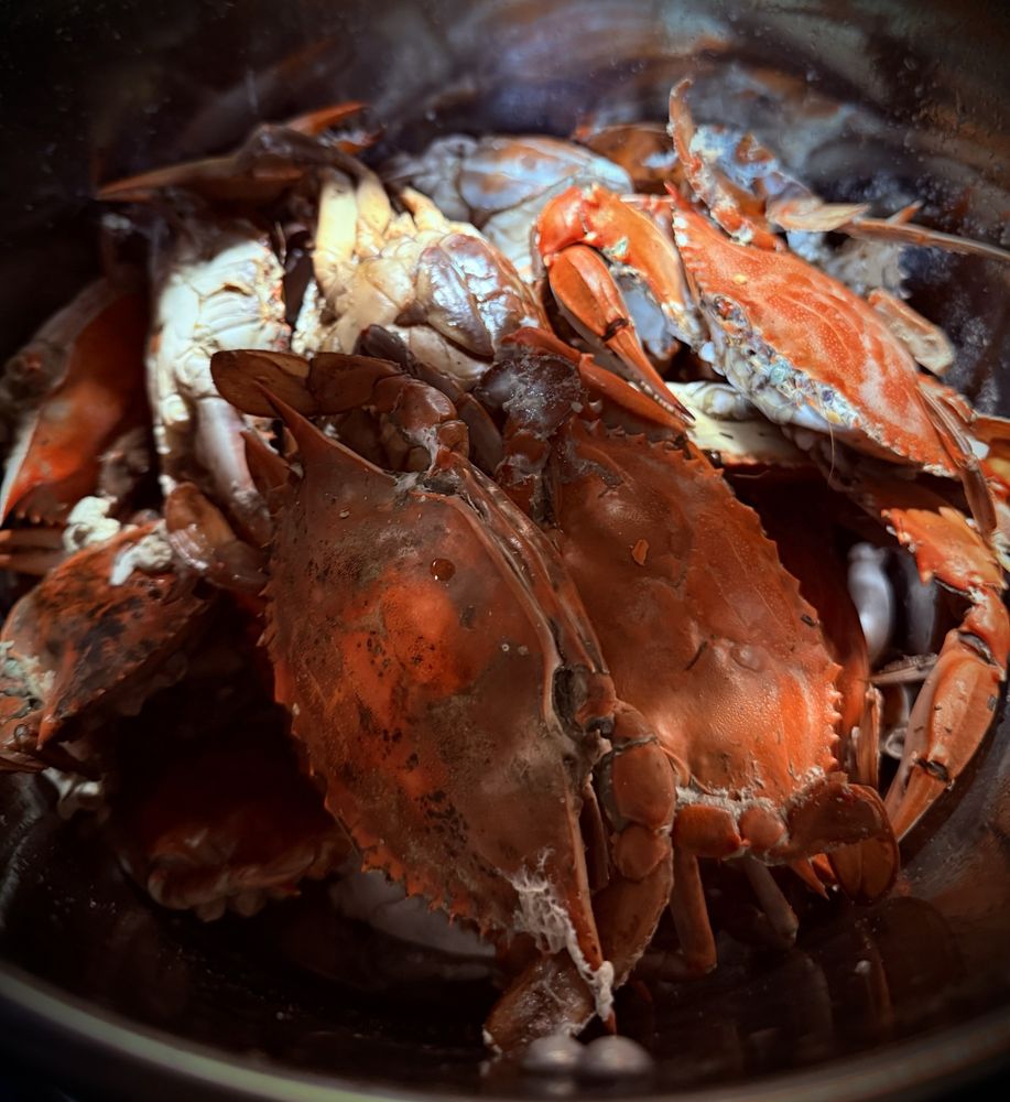 Cottrell’s Seafood Market snd Take Out Image