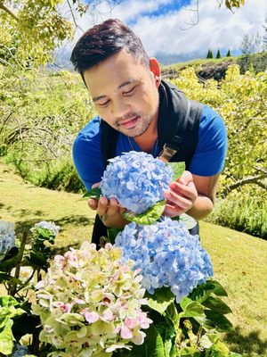 Kula Botanical Garden by null
