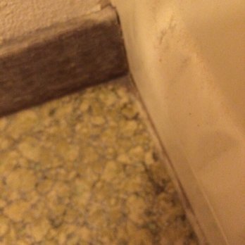 Grakei Maids - They already washed this flood, supposedly. - Home Cleaning Near Me - Madison, Wisconsin