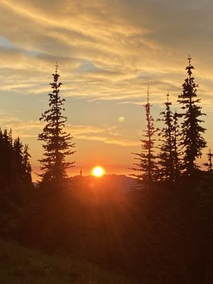 Hurricane Ridge by null