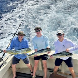 Mahi Mahi