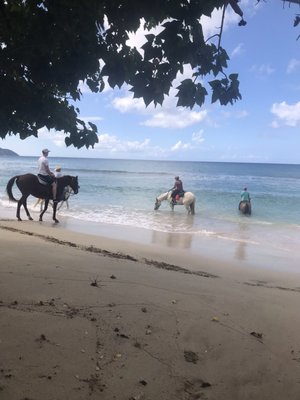 Cane Bay Beach by null