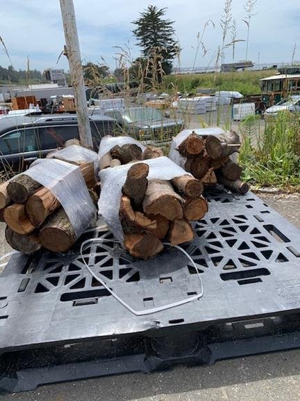 Slide of Think Alves