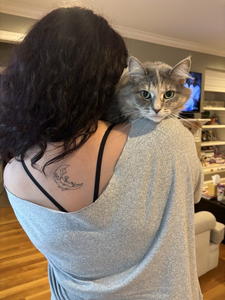 Alchemy Murfreesboro Logo