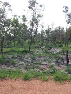 Litchfield National Park by null