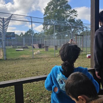 Saint Francis Wolf Sanctuary - Public Tour View - Animal Shelters Near Me - Navasota, Texas Saint Francis Wolf Sanctuary - Public Tour View - Animal Shelters Near Me - Navasota, Texas