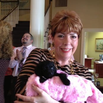 Prancing Poodle Pet Care Services - An adoptable puppy at the Nashville Humane Society! - Dog Walkers Near Me - Okemos, Michigan Prancing Poodle Pet Care Services - An adoptable puppy at the Nashville Humane Society! - Dog Walkers Near Me - Okemos, Michigan