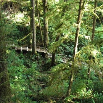 Schooner Cove Trail - Parks Near Me - Tofino, British Columbia Schooner Cove Trail - Parks Near Me - Tofino, British Columbia