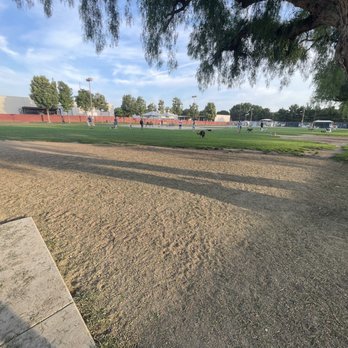 Irvine Central Bark Dog Park - Dog Parks Near Me - Irvine, California Irvine Central Bark Dog Park - Dog Parks Near Me - Irvine, California