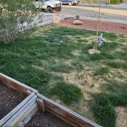 Lowe's Home Improvement - the balding starts