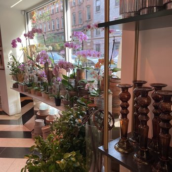 Cafe-Flor - It was the Orchids for me. - Coffee & Tea Near Me - New York, New York