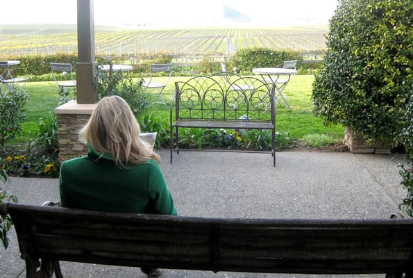 Edna Valley Vineyard by null