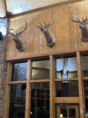 Spearfish Canyon Lodge by null