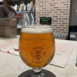Big Owl Craft Brew House - Coastal, Turkey Forrest Brewery IPA