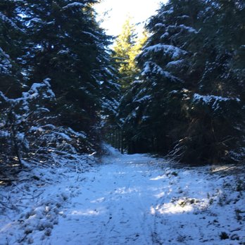 Turtleback Mountain Preserve - Snowy trail - Hiking Near Me - Eastsound, Washington Turtleback Mountain Preserve - Snowy trail - Hiking Near Me - Eastsound, Washington