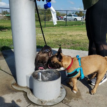 Lago Mar Dog Park - Hydrating on a hot morning! - Dog Parks Near Me - Miami, Florida