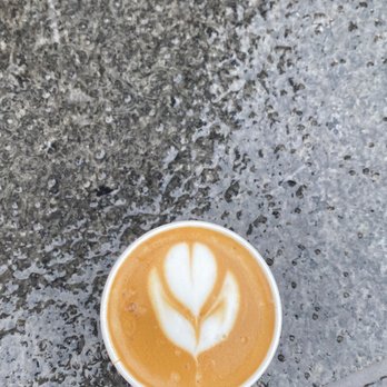 Coffee Lunar - Small - Coffee & Tea Near Me - Toronto, Ontario