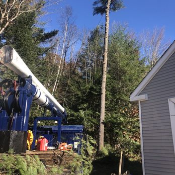 Cliff Side Tree - White Pine removal - Tree Services Near Me Cliff Side Tree - White Pine removal - Tree Services Near Me