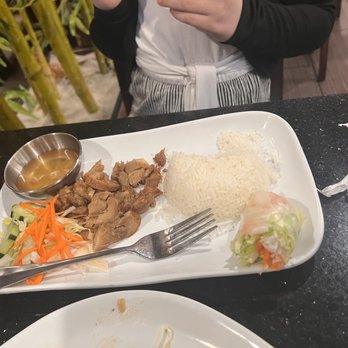 Pho Thien Long - Lemongrass chicken and rice platter for the little one - Vietnamese Near Me - Eureka, California