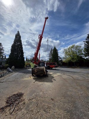 Alpenglow Tree Service on Yelp