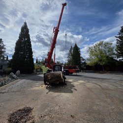 Alpenglow Tree Service