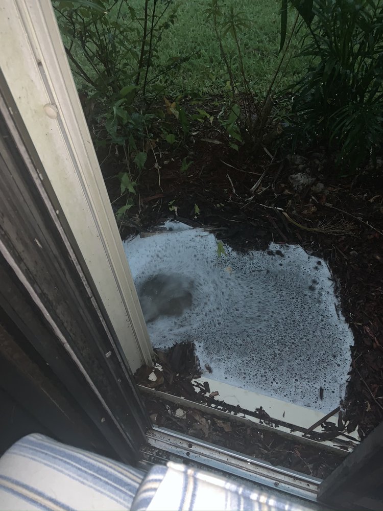 Slide of Sailfish Softwash