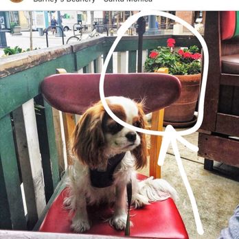 Barney's Beanery - if this planter can barely fit how u put a table n 2 chairs n expect ppl to eat comfortably at the neck of the table next to u also :-/ - Breakfast & Brunch Near Me - Santa Monica, California