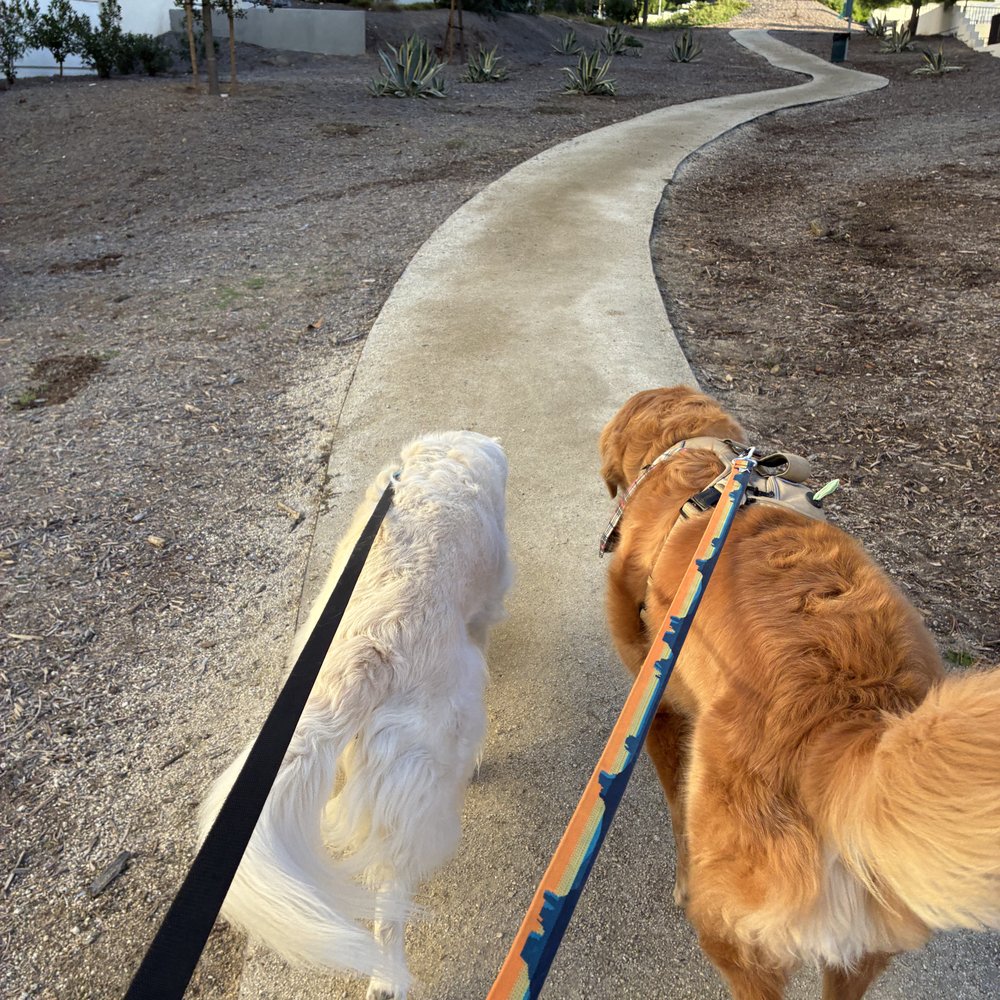 Windsor Rancho PQ - Apartments Near Me - San Diego, California