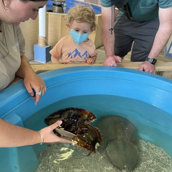 Topsail Aquarium - Aquariums Near Me - Surf City, North Carolina