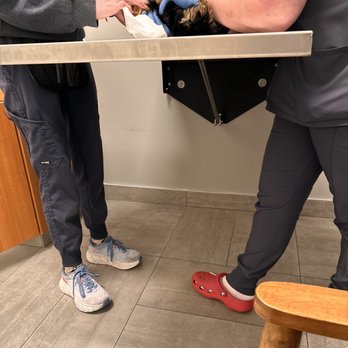 VEG ER for Pets - Tik Tok receiving great care from the attendings - Emergency Pet Hospital Near Me - Houston, Texas
