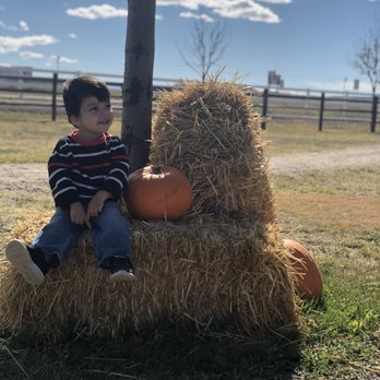 McCall Pumpkin Patch - A priceless experience - Pumpkin Patches Near Me - Moriarty, New Mexico