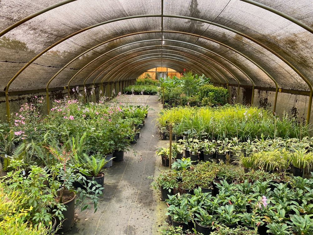 ROCKY MOUNTAIN NURSERY Updated September 2024 13 Photos 6920 Corvallis Rd, Independence