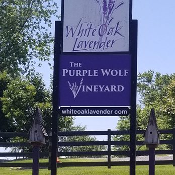 Purple Wolf Vineyard - Entrance sign - Wine Tasting Room Near Me - Harrisonburg, Virginia