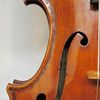 Vessel Stringed Instruments gift card