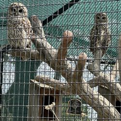 Emporia Zoo