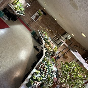 Fly leaf - Florists Near Me - St. Louis, Missouri