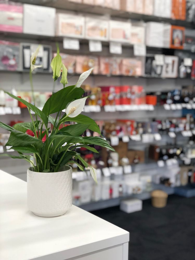 CS FACTORY SHOP Updated August 2024 25 Richard Pearse Dr, Mangere